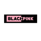 Blackpink Wrist Bands - Pack of 10 THEME PARTIES Pretty UR Party