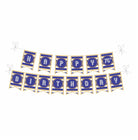75th Birthday Theme Bunting BIRTHDAYS Pretty UR Party