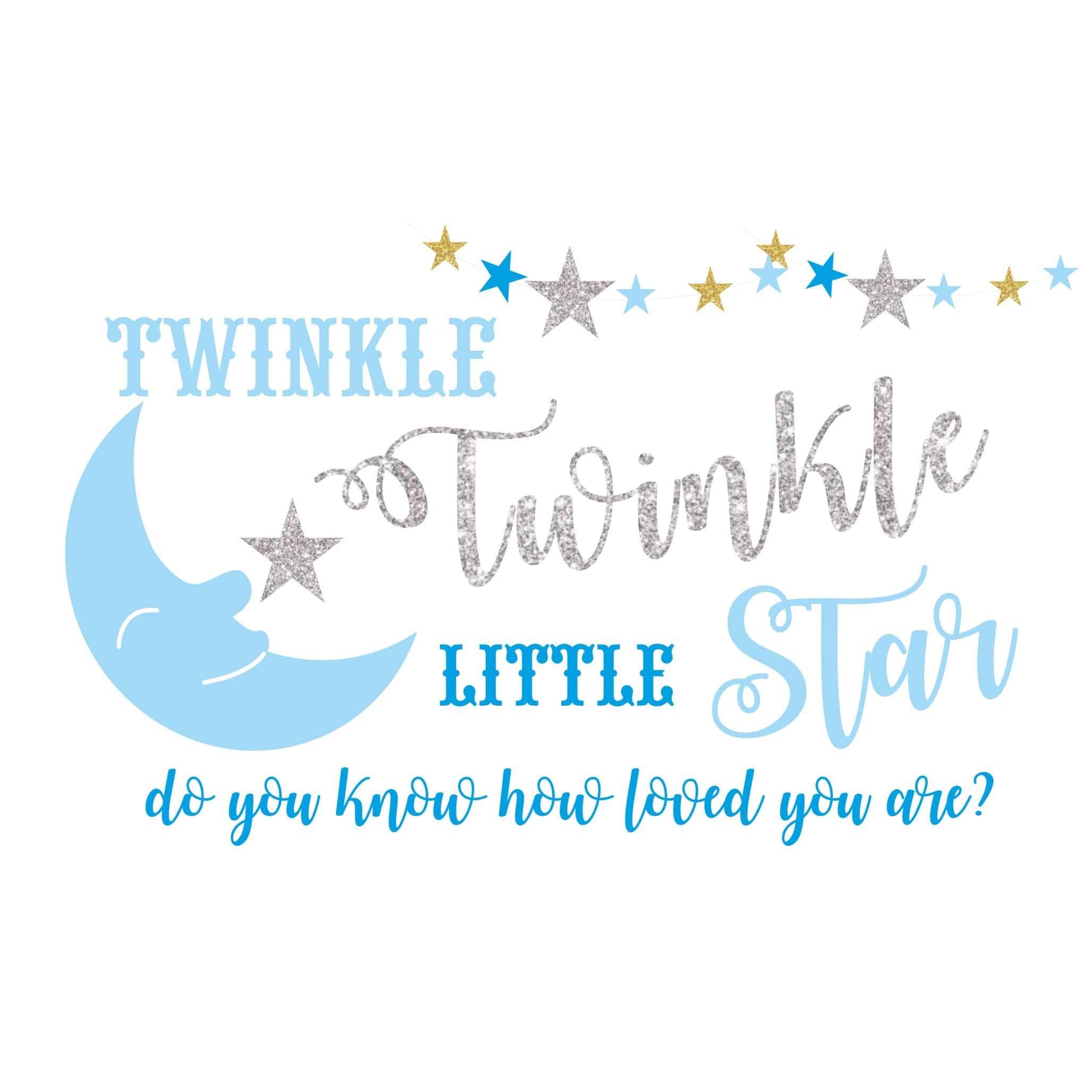 Twinkle Twinkle Little Star Boy Theme Backdrop PERSONALISED Pretty UR Party