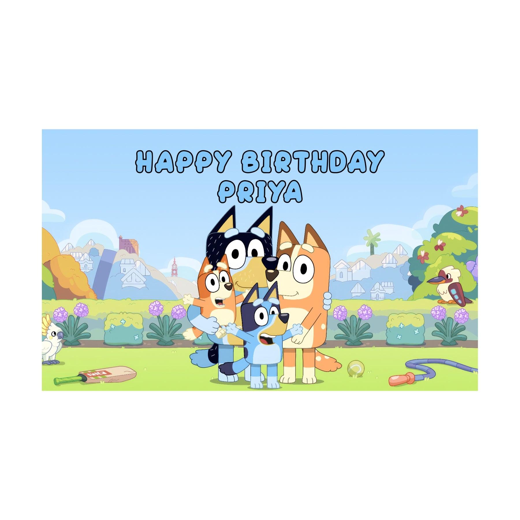 Bluey Theme Backdrop THEME PARTIES Pretty UR Party
