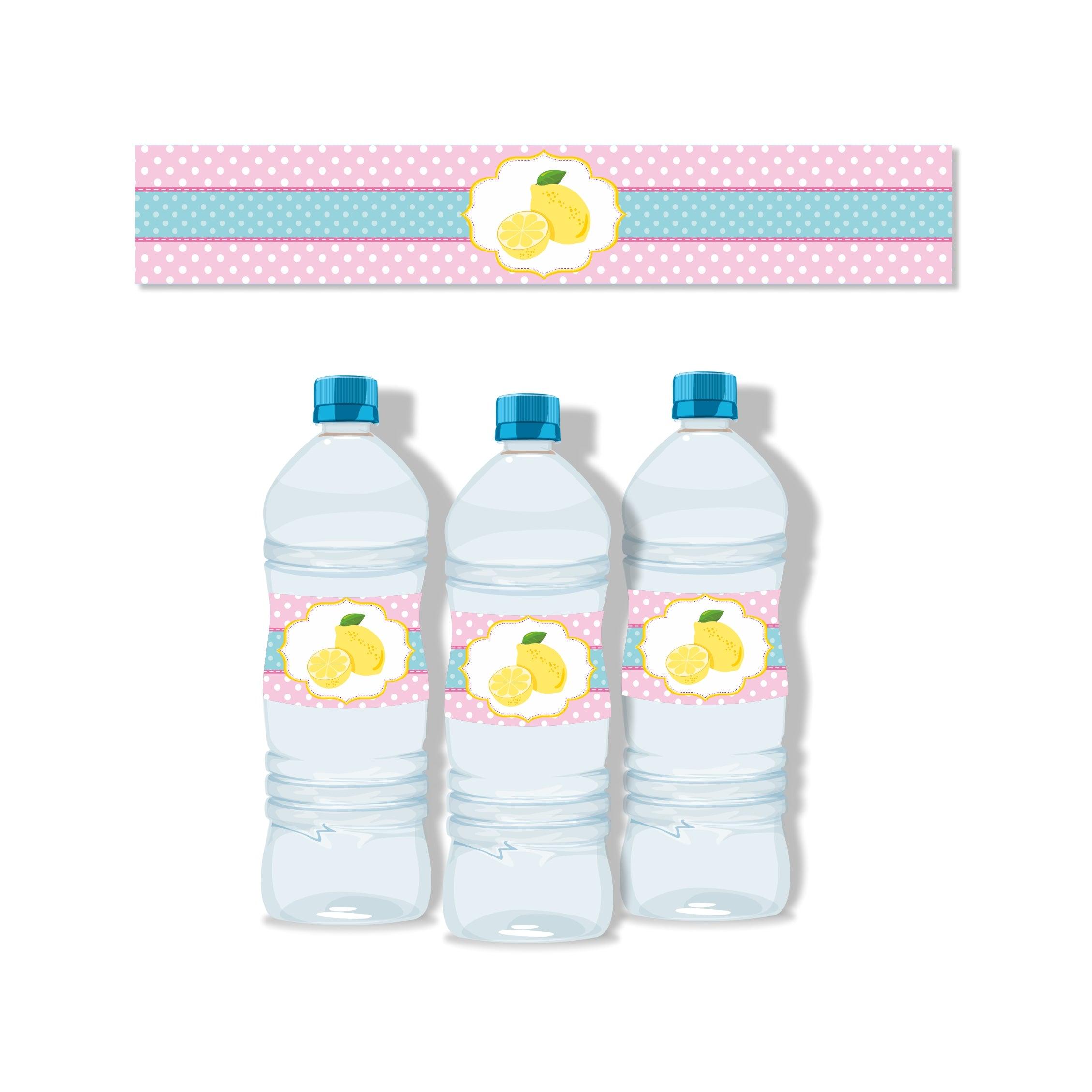 Pink lemonade 1st birthday Bottle Labels ALL PARTY SUPPLIES Pretty UR Party