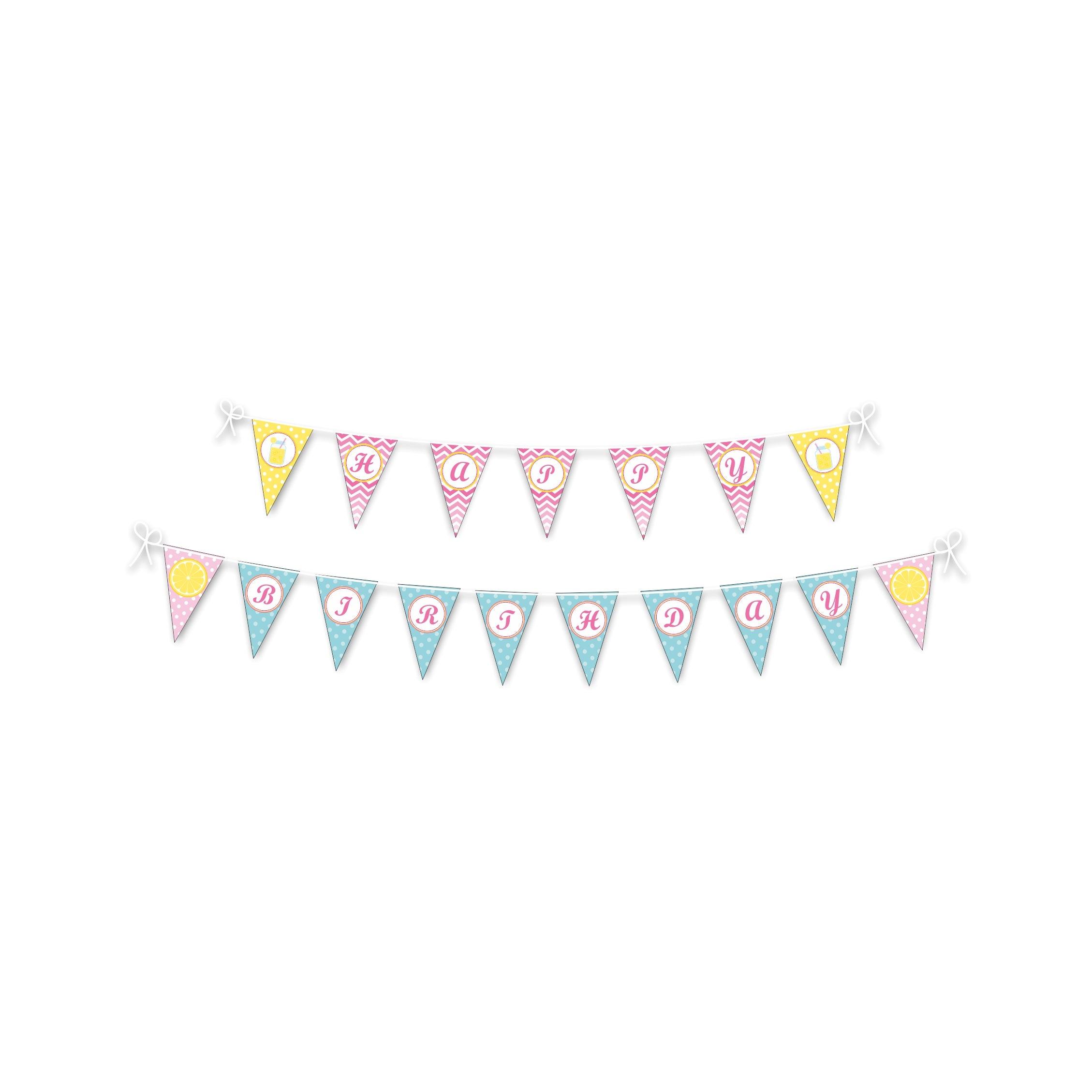 Pink lemonade 1st birthday Bunting DECORATIONS Pretty UR Party