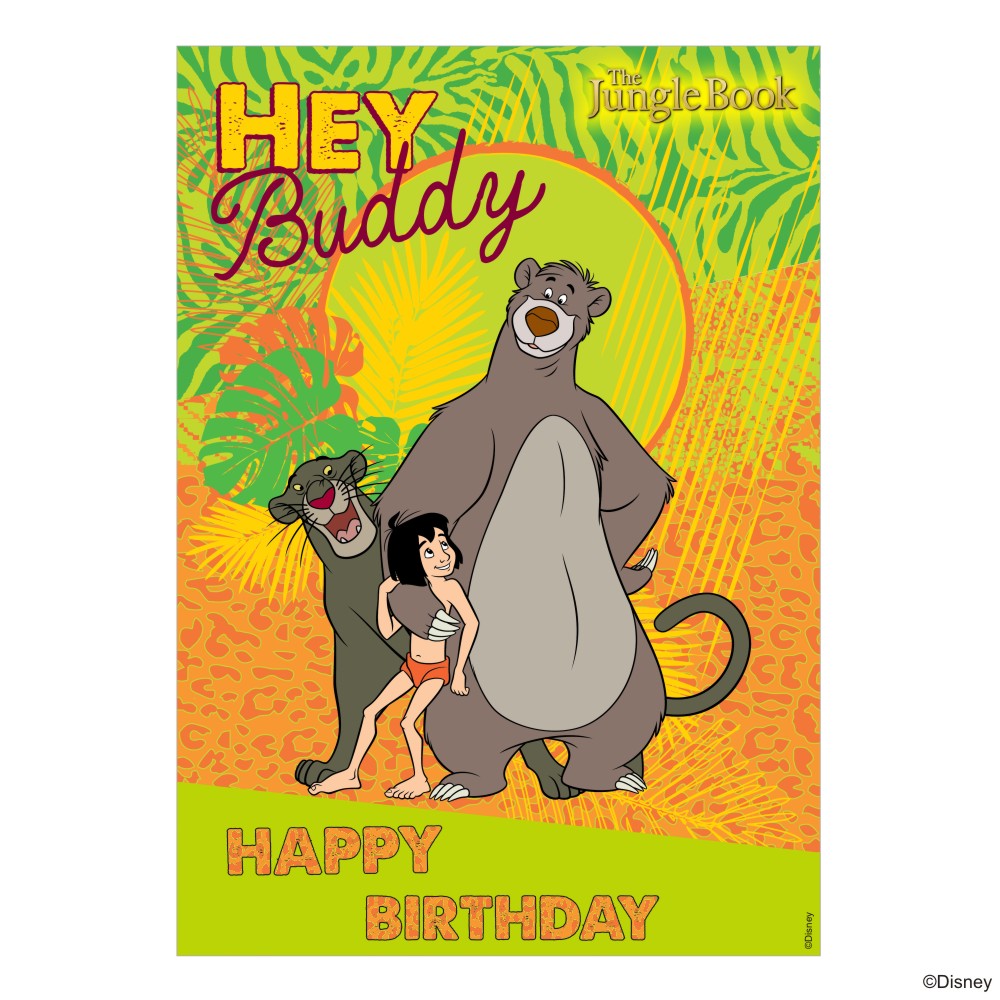 Disney The Jungle Book Party Decorations Kit - 80 pieces combo pack THEME PARTIES Pretty UR Party