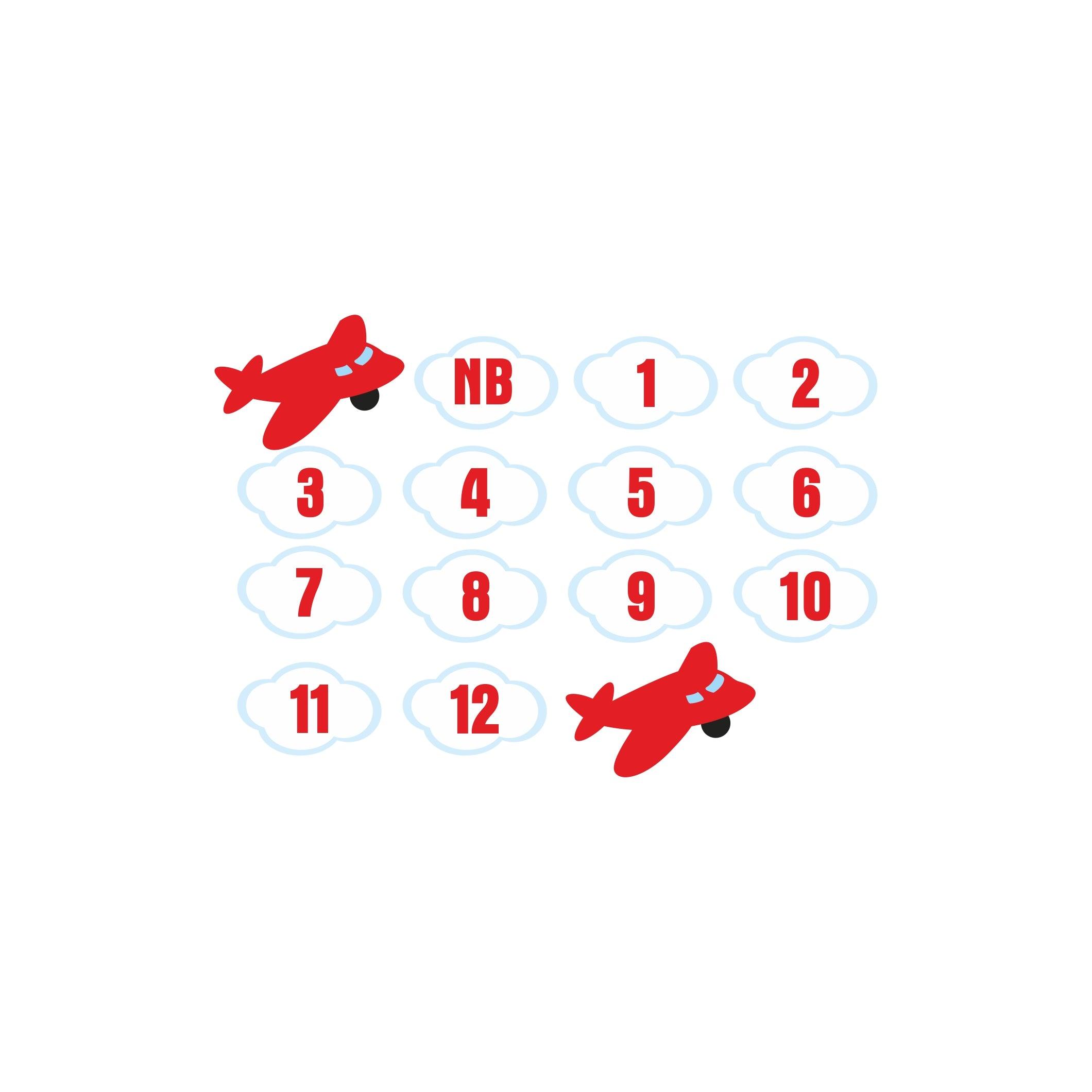 Airlines Monthly Photo Banner for Baby Boys THEME PARTIES Pretty UR Party