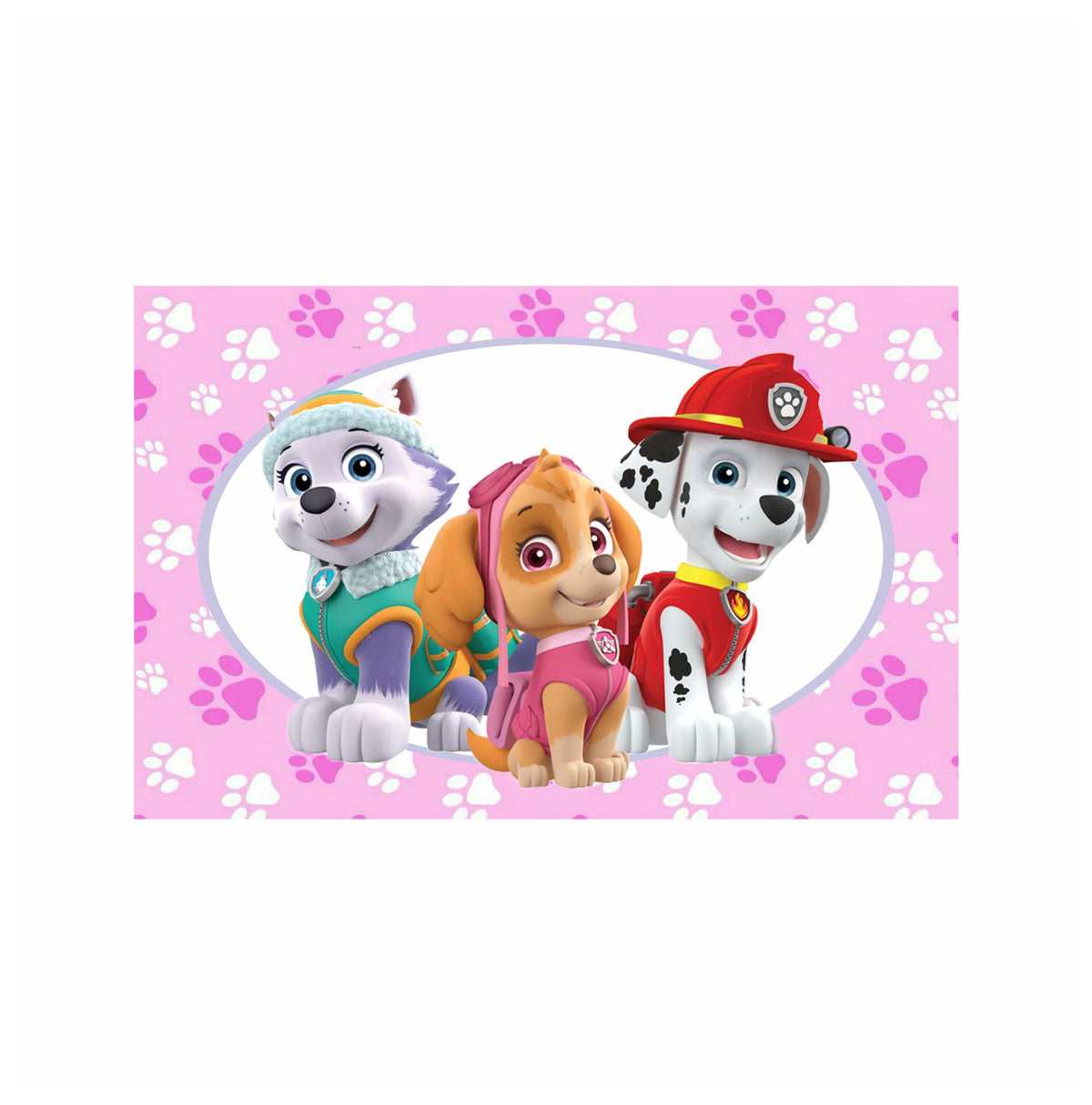 Paw Patrol Pink Theme Table Mats