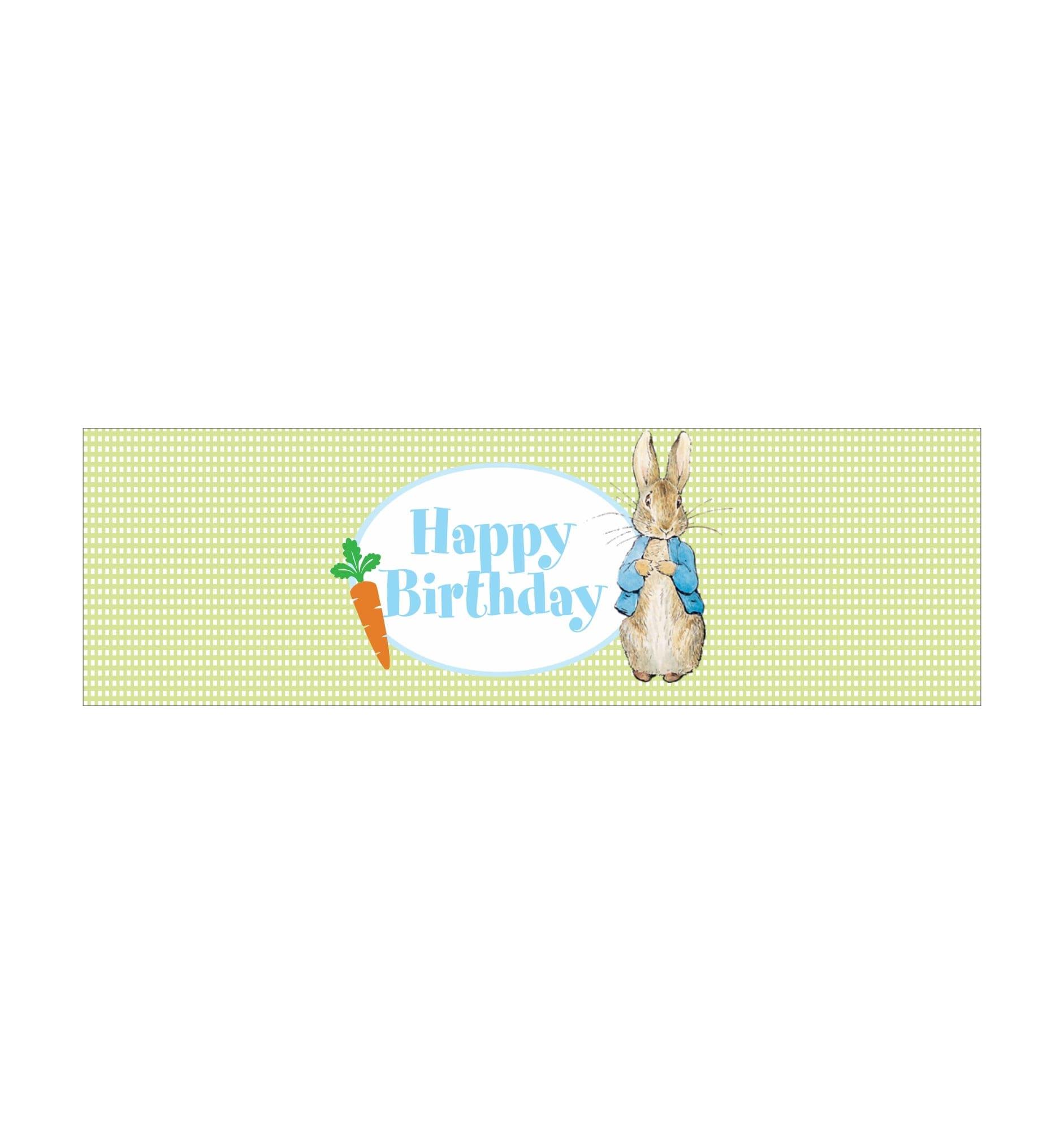 Peter Rabbit Theme Napkin Rings THEME PARTIES Pretty UR Party