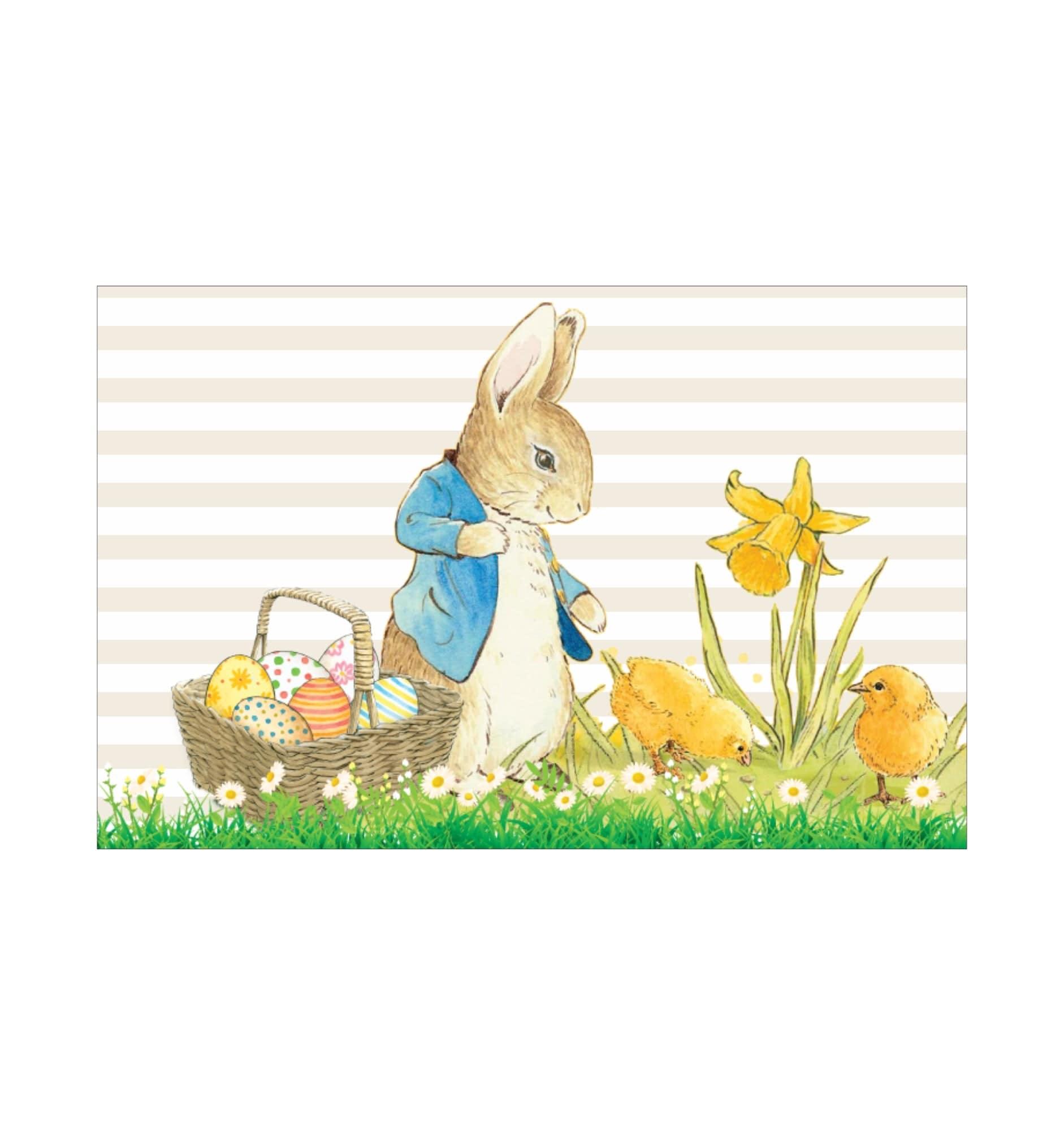 Peter Rabbit Theme Table Mats THEME PARTIES Pretty UR Party