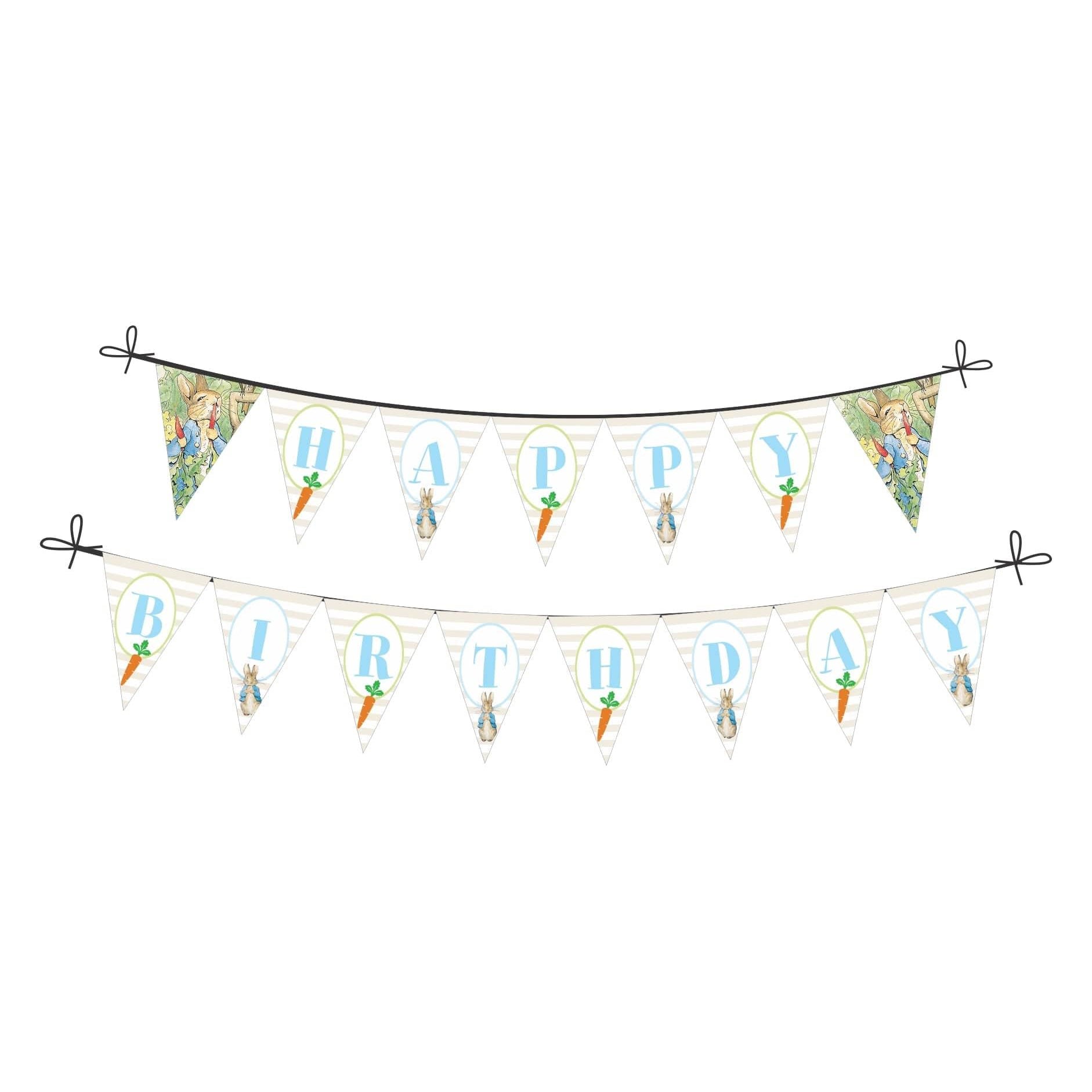 Peter Rabbit Theme Bunting DECORATIONS Pretty UR Party