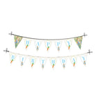 Peter Rabbit Theme Bunting DECORATIONS Pretty UR Party