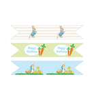 Peter Rabbit Theme Drink Straws THEME PARTIES Pretty UR Party