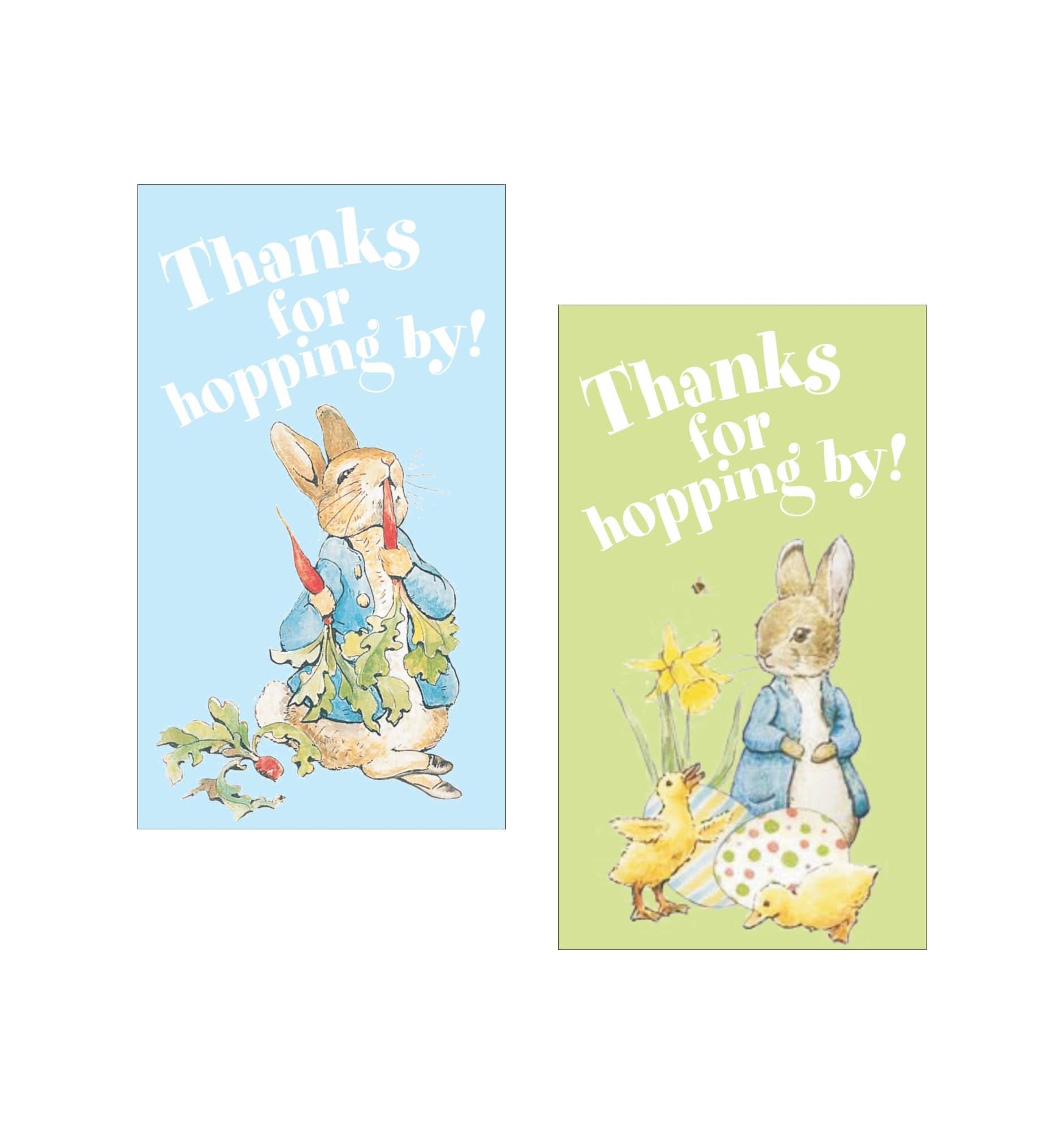 Peter Rabbit Theme Thank you Tags THEME PARTIES Pretty UR Party