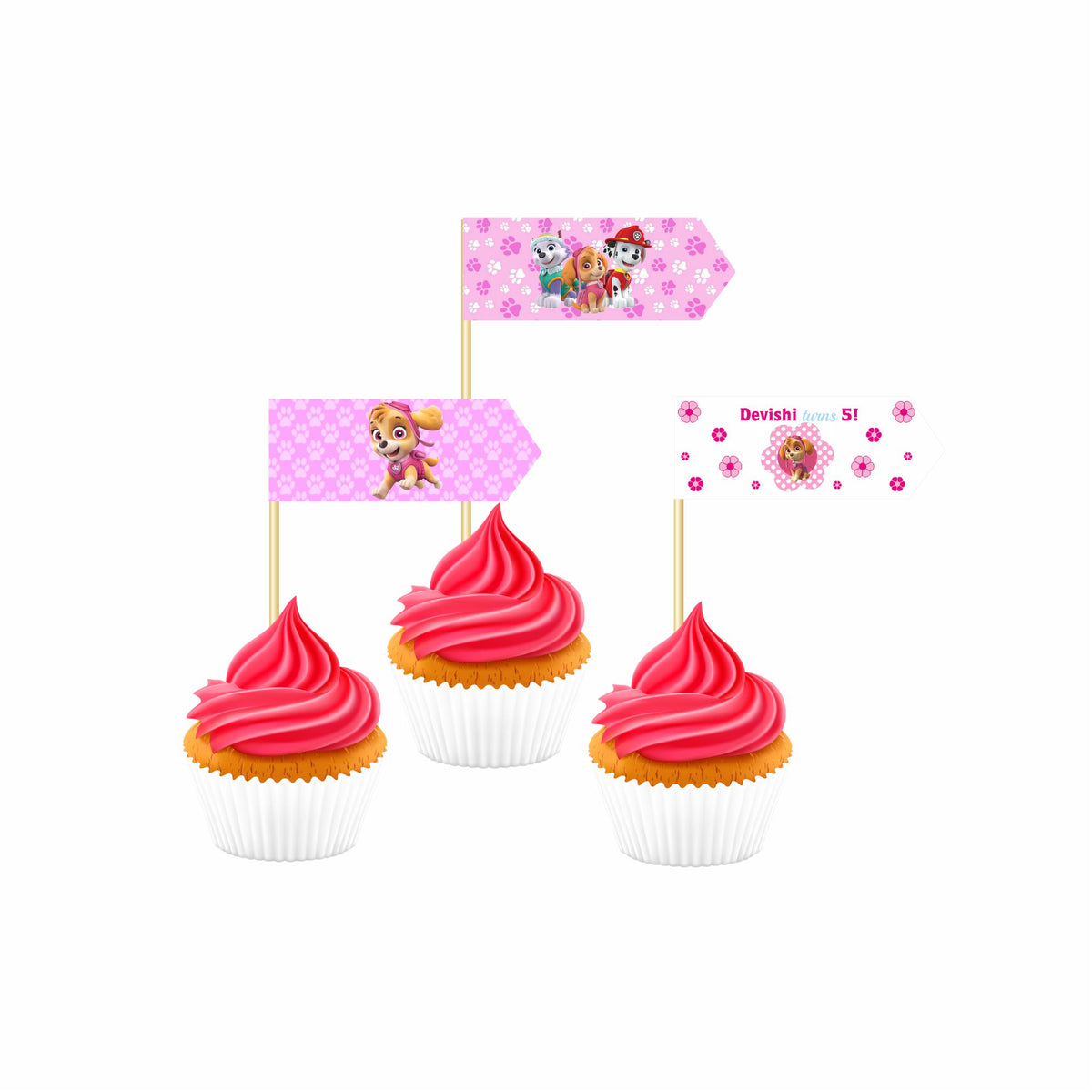 Paw Patrol Pink Theme Picks