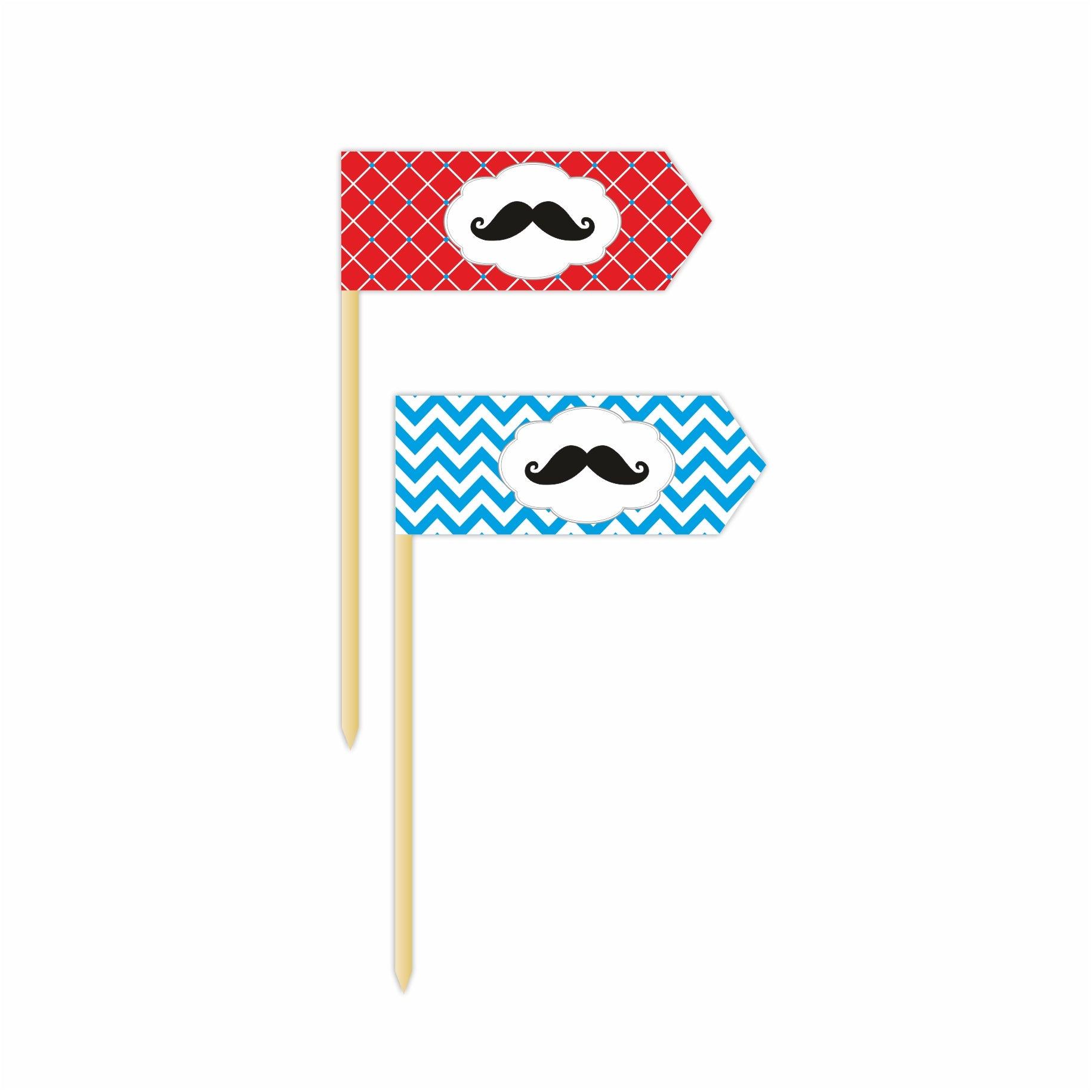 Moustache Theme Picks THEME PARTIES Pretty UR Party