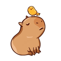 Capybara Birthday Decorations Capybara Birthday Decorations