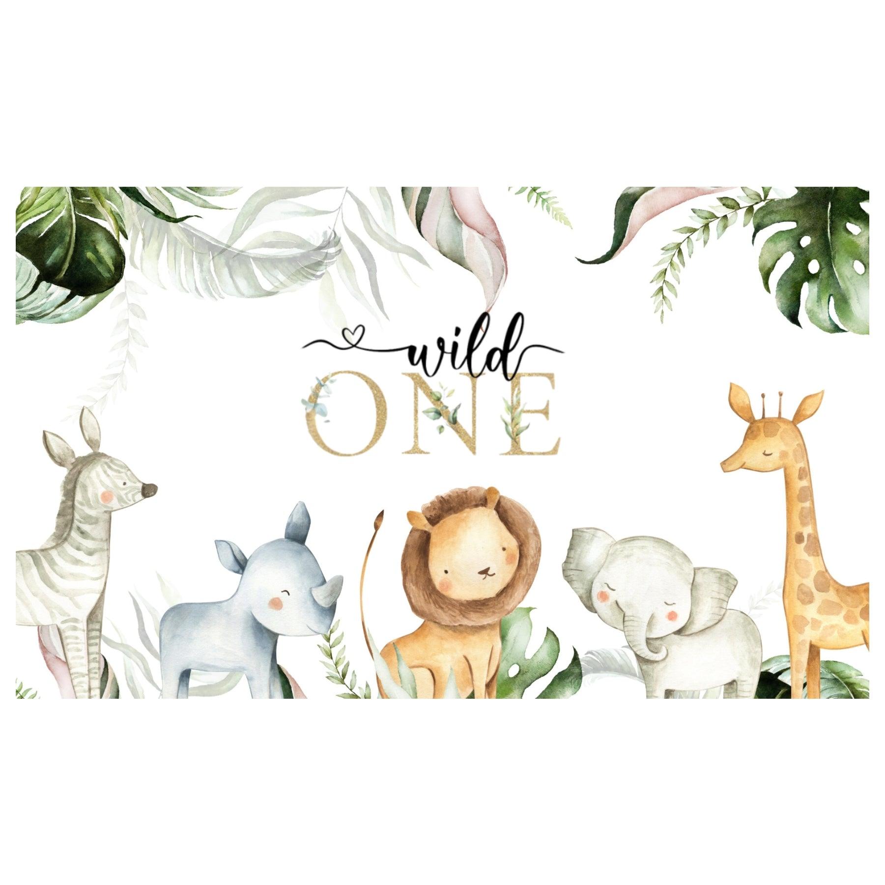 Wild One Theme Backdrop THEME PARTIES Pretty UR Party