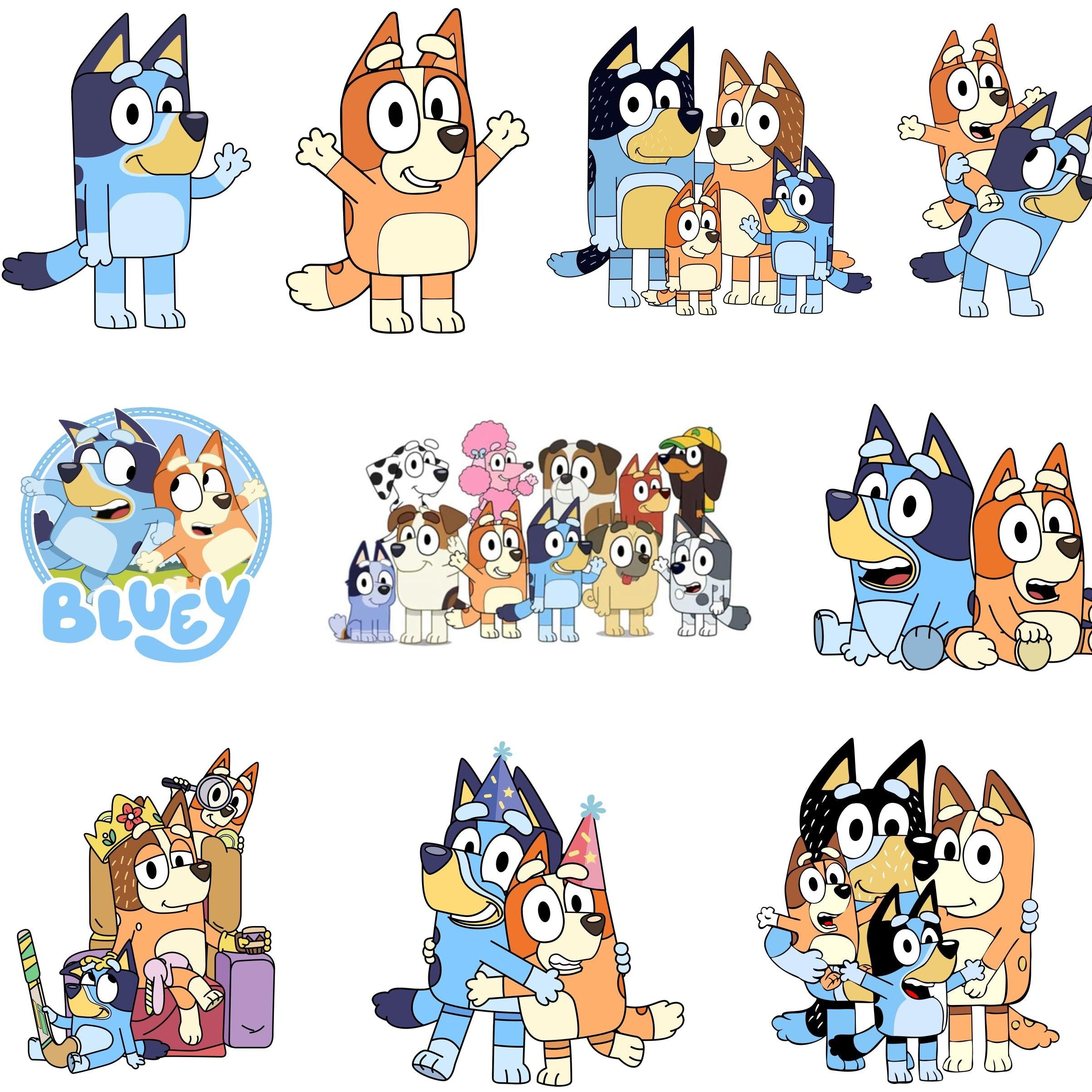 Bluey Theme Cutouts THEME PARTIES Pretty UR Party