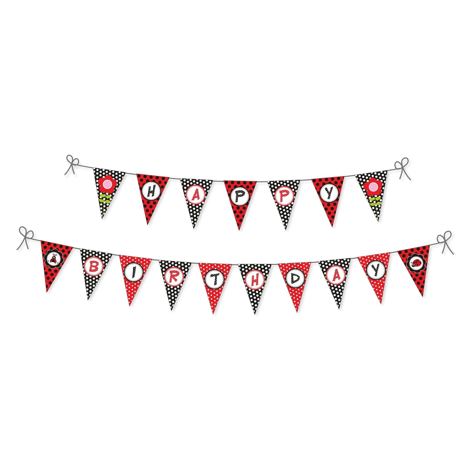Lady Bug Party Decorations Package - 70 pieces Combo BIRTHDAYS Pretty UR Party