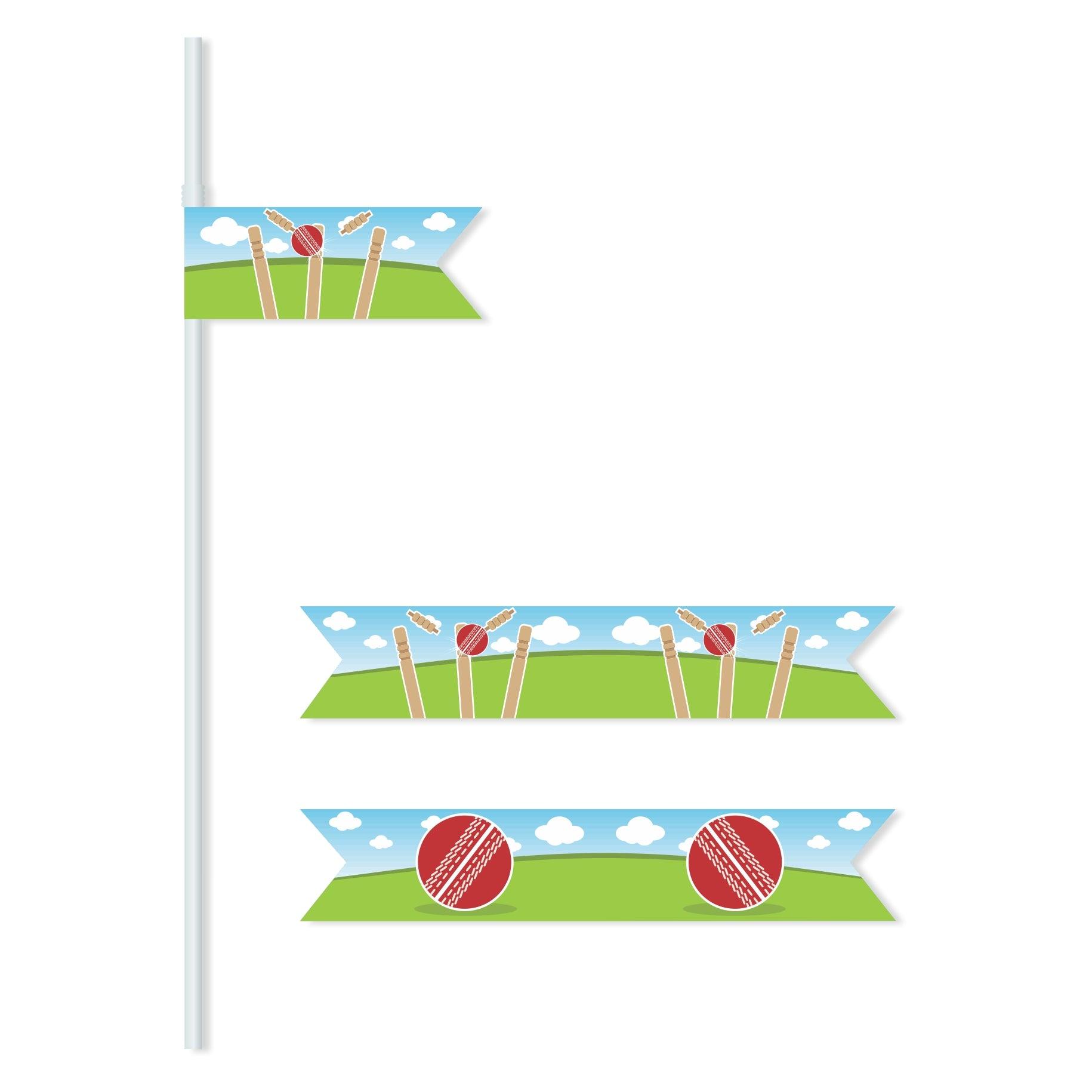 Cricket Theme Straws THEME PARTIES Pretty UR Party