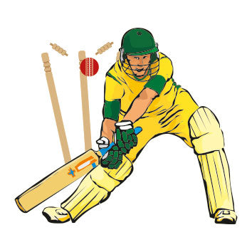 Cricket Party Decorations