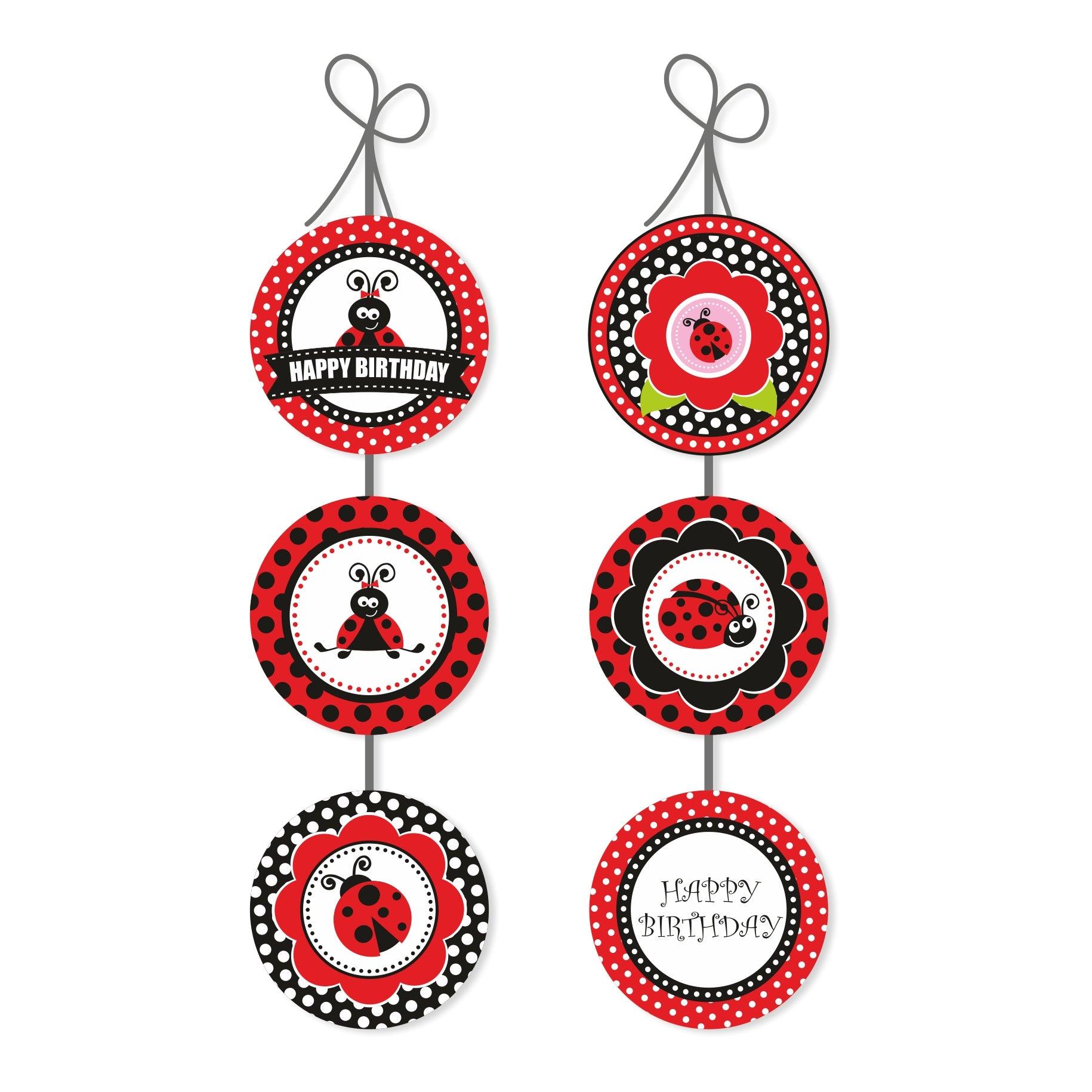 Lady Bug Party Decorations Package - 70 pieces Combo BIRTHDAYS Pretty UR Party