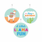 Llama theme Party Decorations Kit - 80 Pieces Combo Pack PACKAGES Pretty UR Party