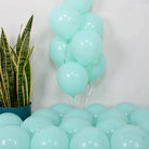 Pastel Green Latex Balloon - Pack of 25 BALLOONS Pretty UR Party