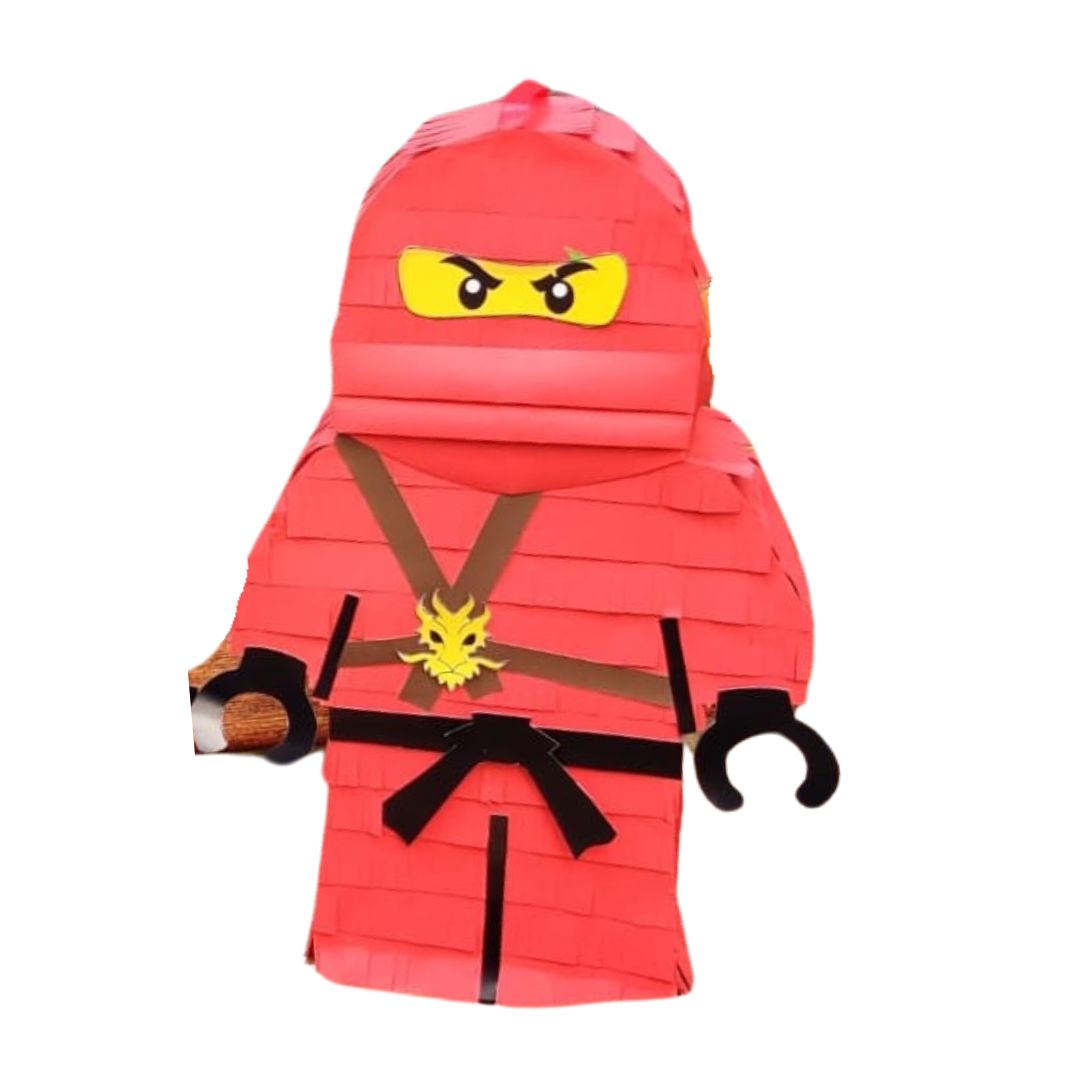 Ninjago theme Pinata HANDCRAFTED PRETTY UR PARTY