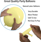Pastel Yellow Latex Balloon - Pack of 25 THEME PARTIES Pretty UR Party
