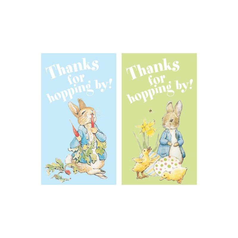 Peter Rabbit Party Decorations Kit - 80 pieces Combo Pack BIRTHDAYS Pretty UR Party