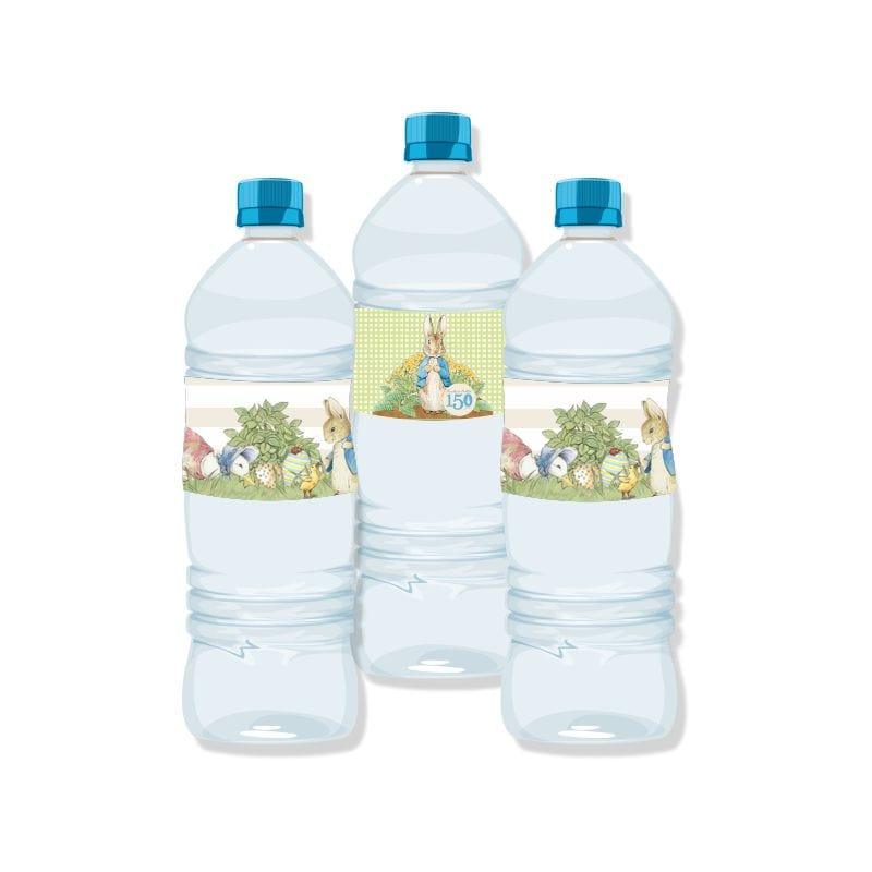 Peter Rabbit Tableware Package - 67 pieces pack BIRTHDAYS Pretty UR Party