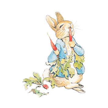 Peter Rabbit Birthday Decorations Peter Rabbit Birthday Decorations
