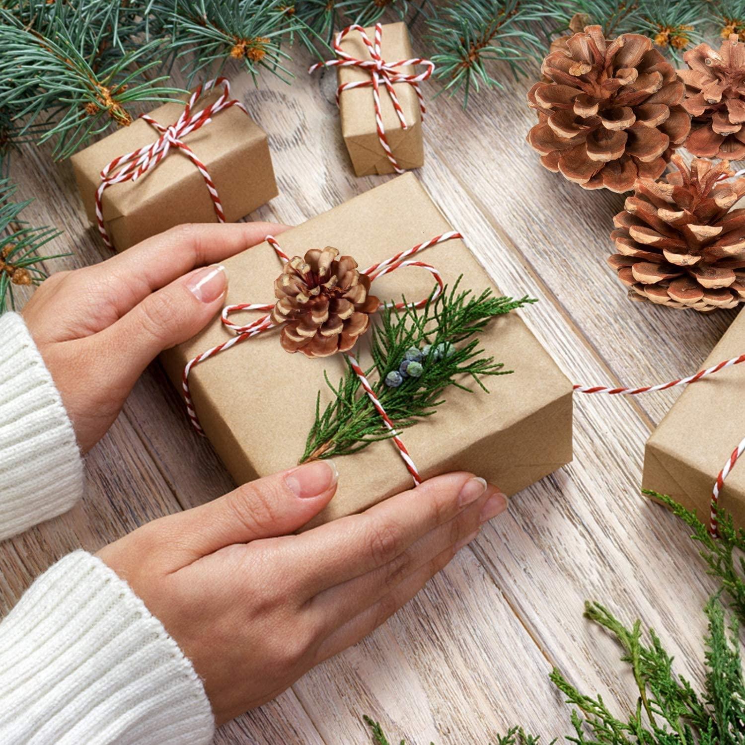 Christmas Decoration Wooden Pine Cones Hanging Ornaments - 12 pcs DECORATIONS Pretty UR Party