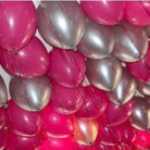 Pink Metallic Latex Balloon - Pack of 50 ALL PARTY SUPPLIES Pretty UR Party