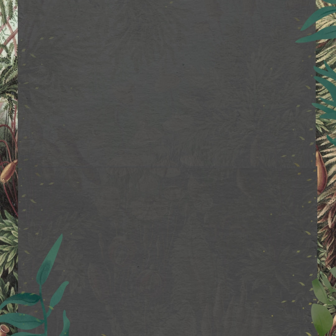 Jungle theme Video Invite INVITATIONS Pretty UR Party