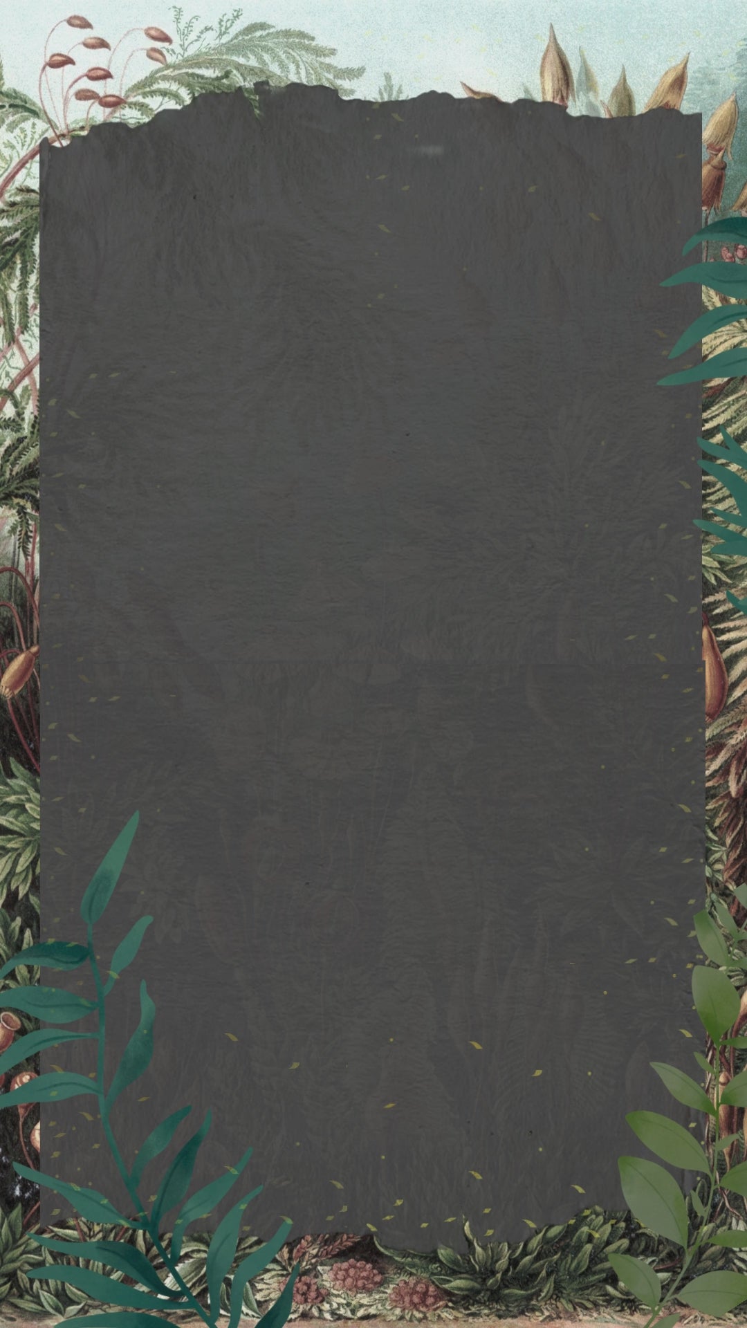 Jungle theme Video Invite INVITATIONS Pretty UR Party