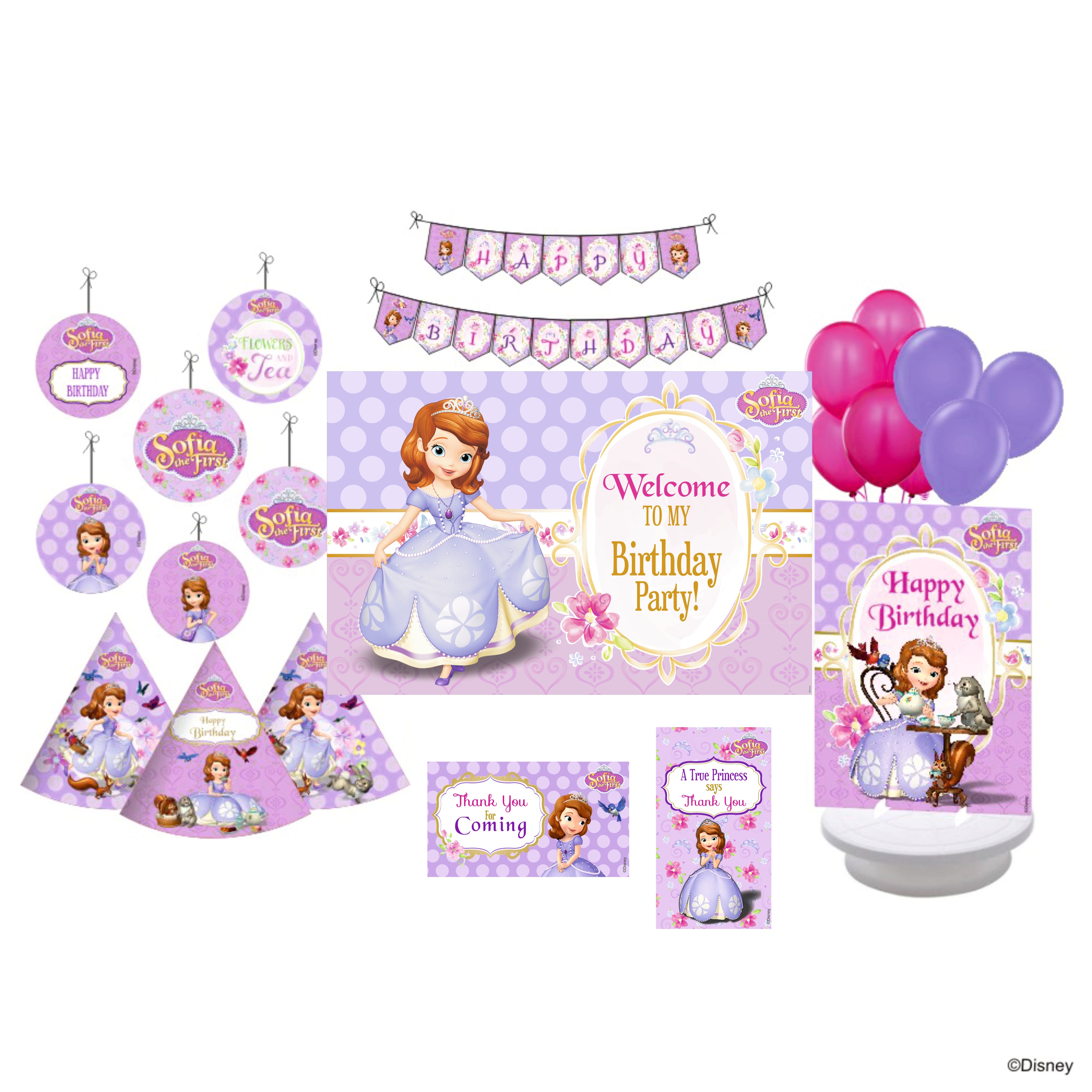 Disney Sofia the first Party Decorations Kit - 80 pieces combo pack THEME PARTIES Pretty UR Party