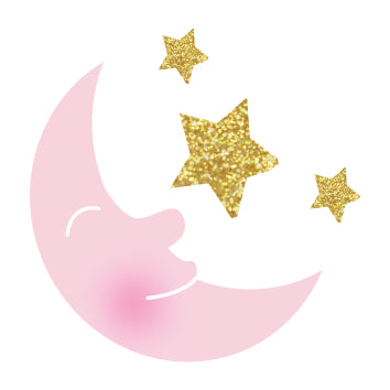 Twinle Girl Baby Shower Party Theme Twinle Girl Baby Shower Party Theme