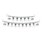 Two Fast Theme Bunting THEME PARTIES Pretty UR Party