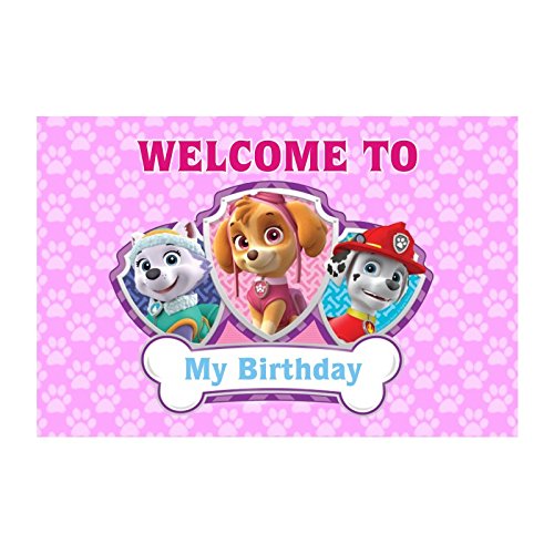 Paw Patrol Skye Party Decorations Kit - 80 pieces Combo Pack BIRTHDAYS Pretty UR Party