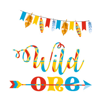 Wild One Birthday Decorations Wild One Birthday Decorations