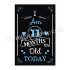 11 Months Poster ALL PARTY SUPPLIES Pretty UR Party