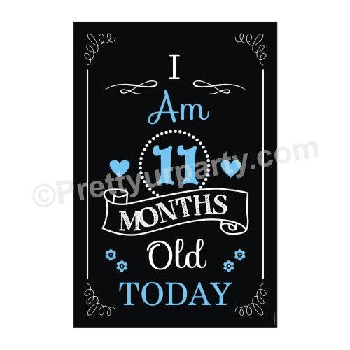 11 Months Poster ALL PARTY SUPPLIES Pretty UR Party