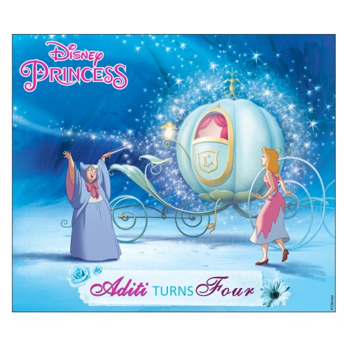 Disney Cinderella Backdrop THEME PARTIES Pretty UR Party Default Title