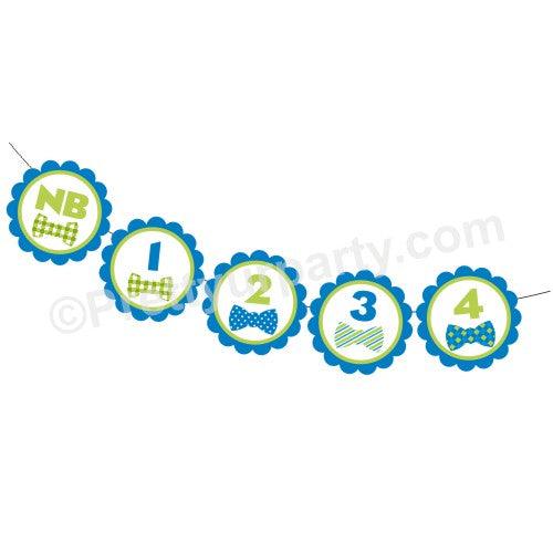 Blue and Green Monthly Photo Banner THEME PARTIES Pretty UR Party