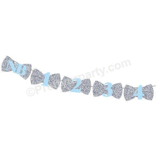 Silver Bow Monthly Photo Banner THEME PARTIES Pretty UR Party