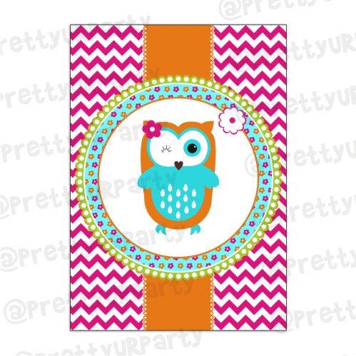 Girly Owl Centerpieces - Pack of 2 THEME PARTIES Pretty UR Party Default Title
