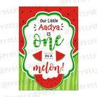 Watermelon Theme Centerpieces THEME PARTIES Pretty UR Party Default Title