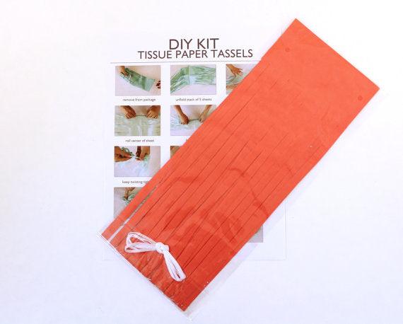 Dark Orange Tassel Garland Kit - Set of 5 THEME PARTIES Pretty UR Party