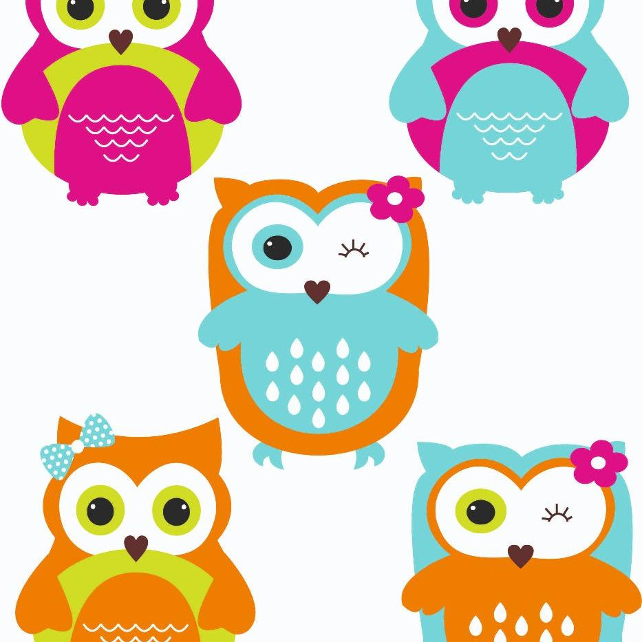 Girly Owl Theme Cutouts THEME PARTIES Pretty UR Party