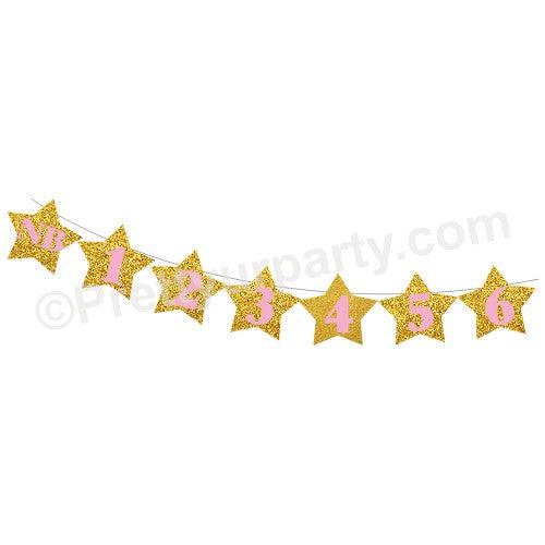 Gold Star Monthly Photo Banner THEME PARTIES Pretty UR Party